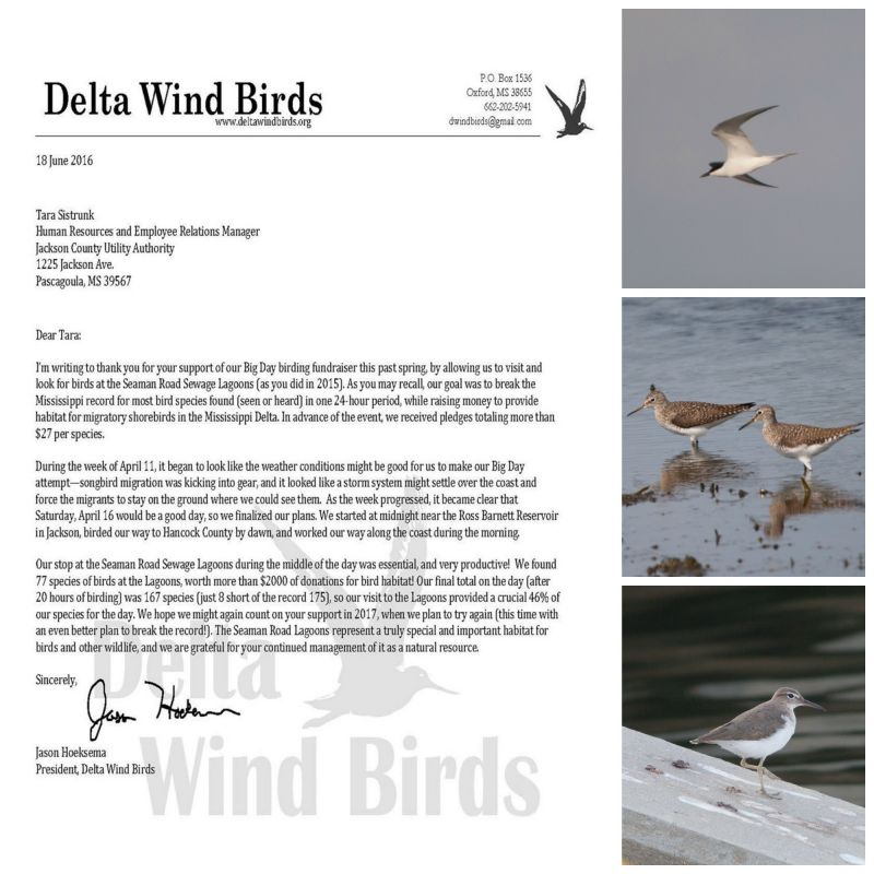Delta Wind Birds Big Day Ltr-Pic Collage